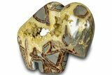 Calcite-Filled Polished Septarian Bison - Utah #301481-1